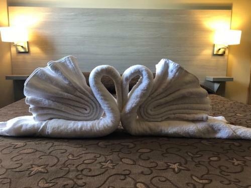 Hotel Clair De Lune
