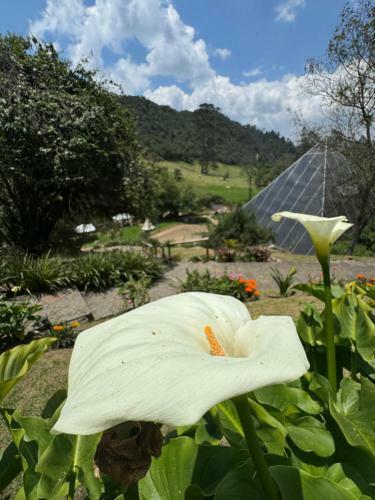Termales Wellness Hotel