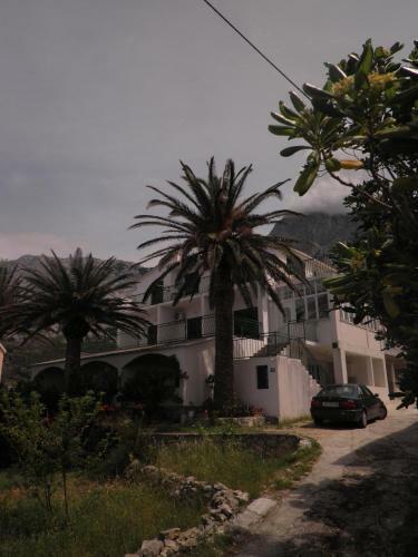 Apartments Tri Palme