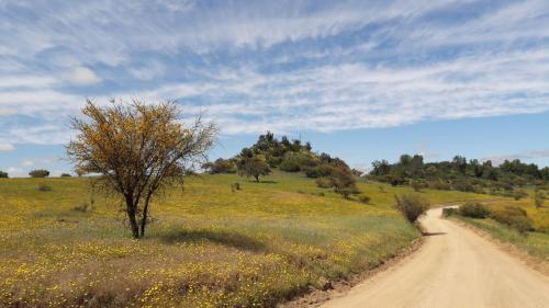 Caba�a De Adobe En Lago Rapel