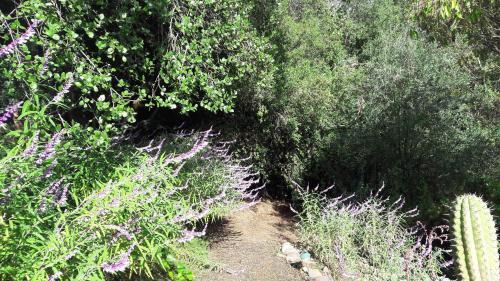 Caba�a De Adobe En Lago Rapel