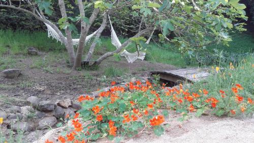 Caba�a De Adobe En Lago Rapel