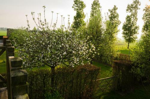 Hostal De Groote Waere