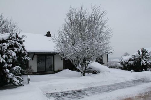 B&B Sol Magnus