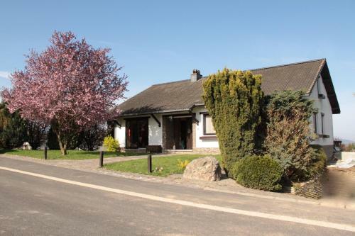 B&B Sol Magnus