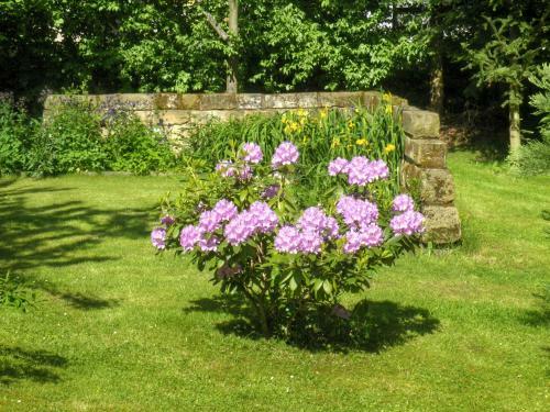 Bed & Breakfast Am Lindenbaum