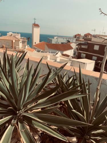 Apartamento Caracola House