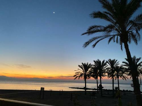 Apartamento Lujoso En Primera Linea de Playa