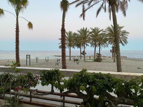 Apartamento Lujoso En Primera Linea de Playa