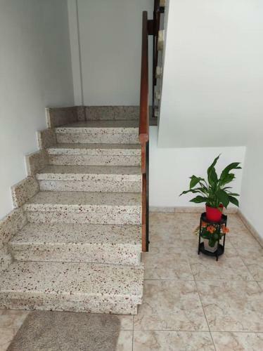 Carmen's House