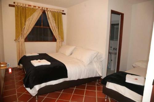 Hotel Ammonite