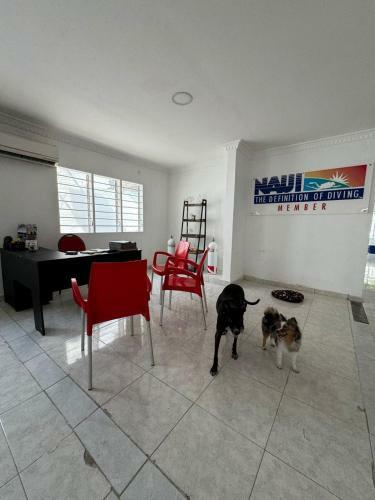 Hostal Calipso Dive And Pet Center