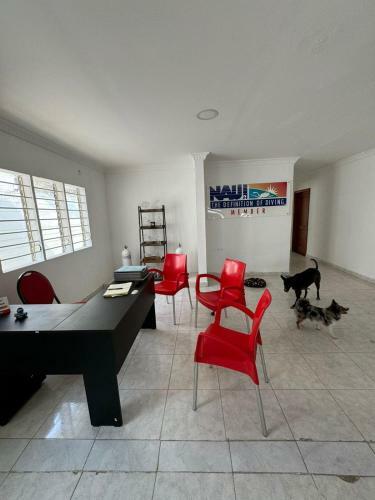 Hostal Calipso Dive And Pet Center
