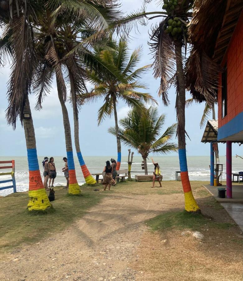 Hotel El Palmar Tours