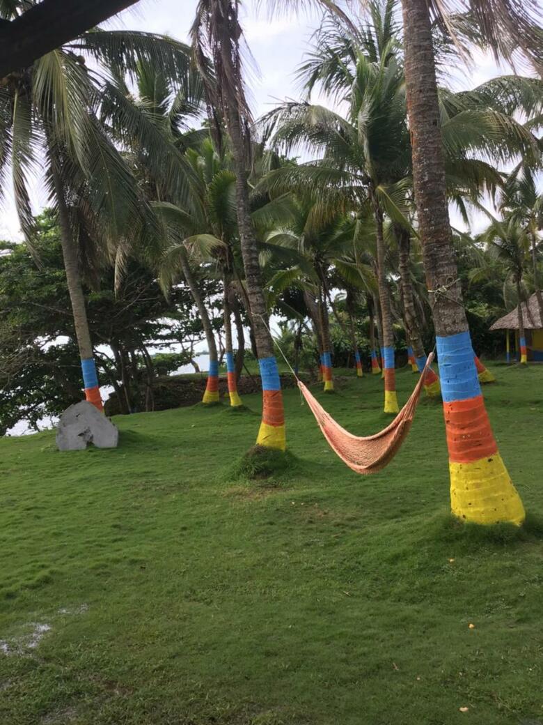 Hotel El Palmar Tours