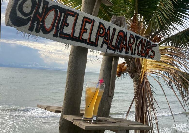 Hotel El Palmar Tours