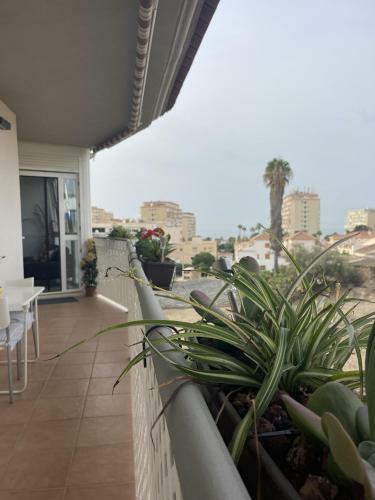 Apartamento Piso Palacio