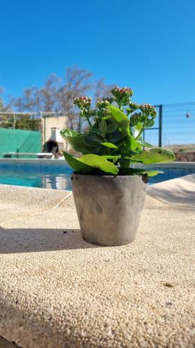 Villa Isabelita, Piscina Privada Y Salida A Playa