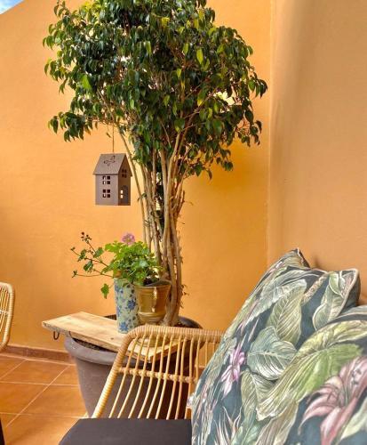 Apartamento Casa Cotejo, Estilo Y Comodidad En Tacoronte