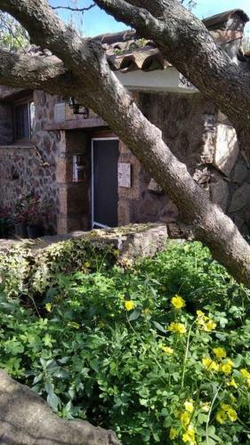 Rural House To Take A Break, La Serreria 25