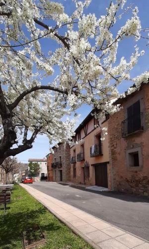 Apartamento Ar�vacon