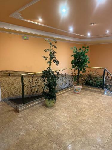 Prestige Apartament IV