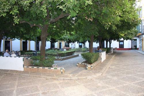 Apartamentos En La Plaza Do�a Elvira, 7