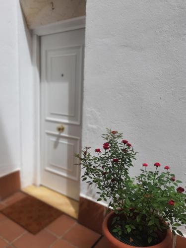 Centuria Macarena, Apartamento D�plex