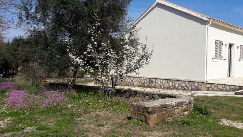 Lemontree Apartments