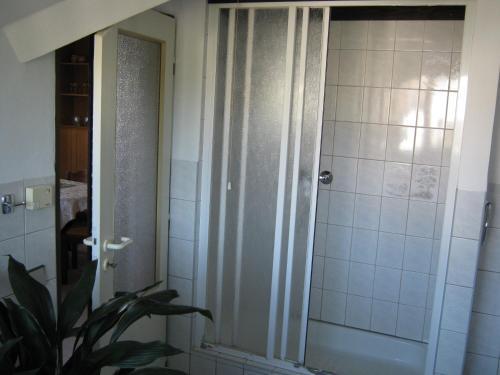 Hostal Privat Apartma Ulrych