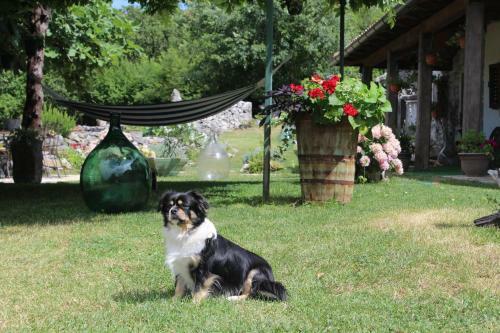 Holiday Home Mavrici