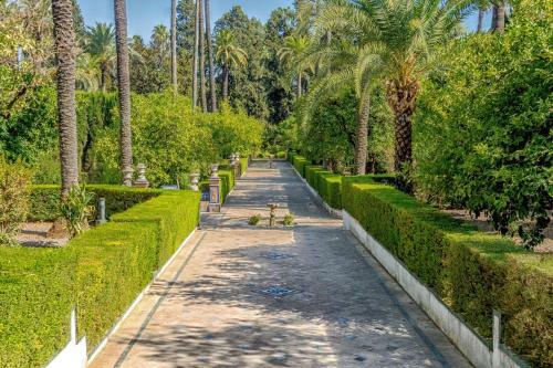 Apartamento Plaza De Espa�a. Dreams