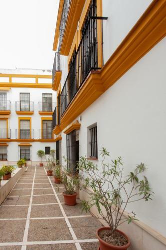 Pikis Apartment Center 1