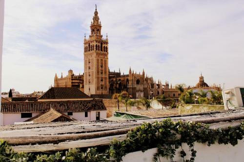 Apartamento Terraza Catedral Olehousing