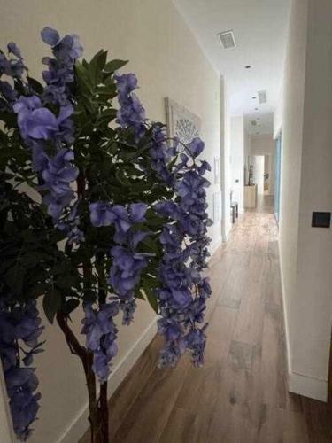 Deluxe Twobedroom Apartment Seville Downtown