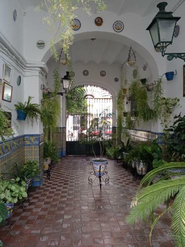 Apartamento Carmona&house