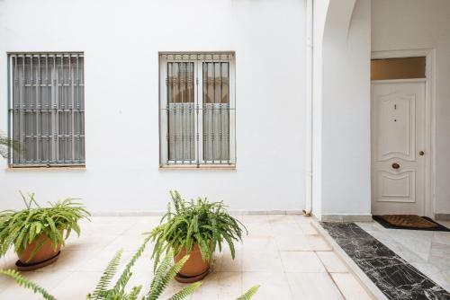 Apartamento Cerca De La Catedral