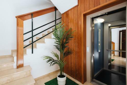 Hostly Rbh0 Modern Apartment
