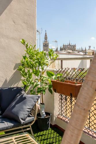 Apartamento La Terraza de Toneleros Luxurious Duplex X2 With 3 Bdr.