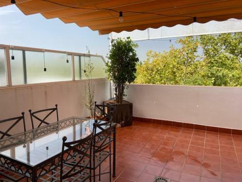 Torneo Atico Premium Apartment