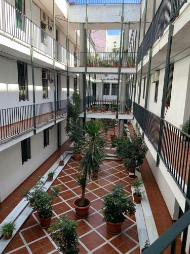 Apartamento Estrella