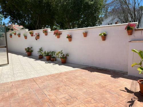 Apartamento Casa Cortijo Olivar