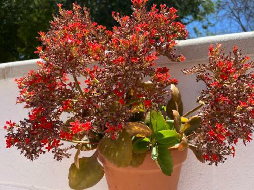 Apartamento Casa Cortijo Olivar
