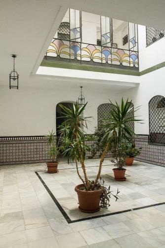 Cozy Apartment In A Typical Sevillian Patio House