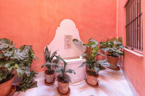 Casa Palacio Virgenes 7 With Private Swimming Pool And Parking