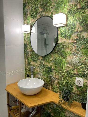 Apartamento Oasis Plus