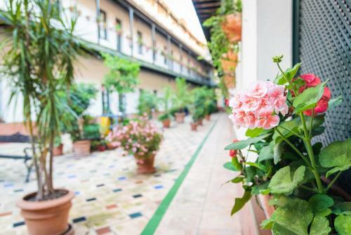 Apartamento Hoteles Del Sur