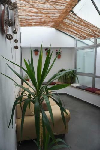 Casa Marcur Santa Cruz