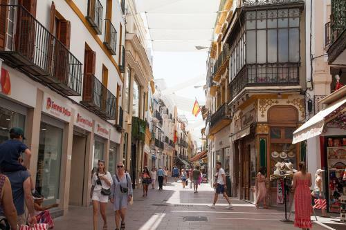 Apartamento Gotoseville Sierpes Suite