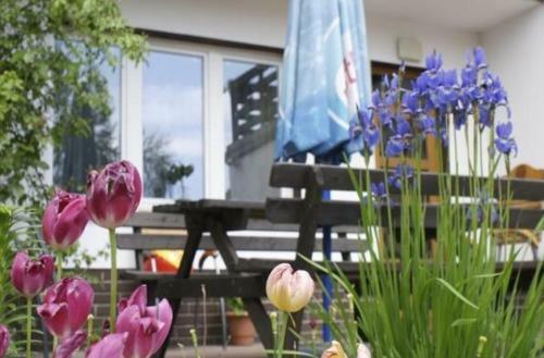 Hostal Pensjonacik Albatros